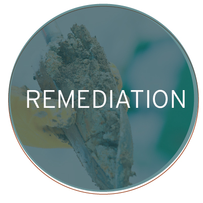 Remediation services